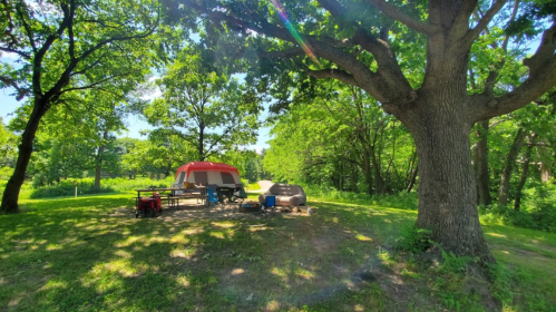 A campsite with a red tent, picnic table, and chairs under a large tree, surrounded by lush greenery.