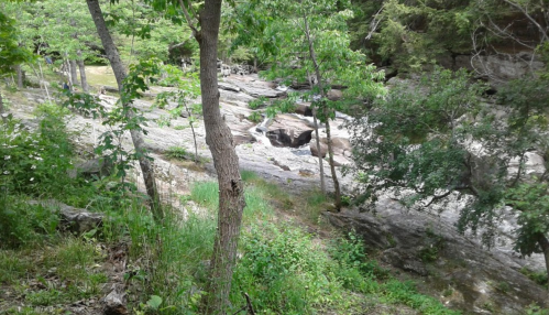 A rocky riverbed surrounded by lush greenery and trees, with gentle slopes and a serene natural landscape.