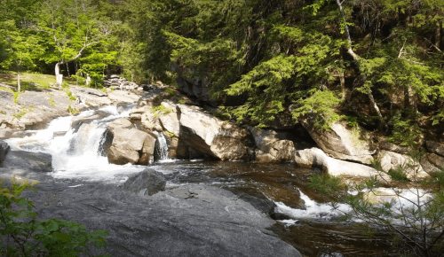 A serene river flows over rocks, surrounded by lush green trees in a peaceful natural setting.