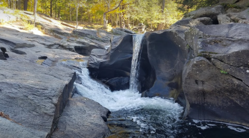 A serene waterfall cascading over smooth rocks into a clear pool, surrounded by lush trees in a tranquil setting.