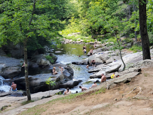 People relaxing and swimming in a natural stream surrounded by rocks and greenery on a sunny day.
