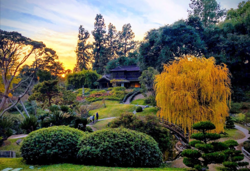 A serene garden at sunset, featuring lush greenery, a willow tree, and a traditional house in the background.