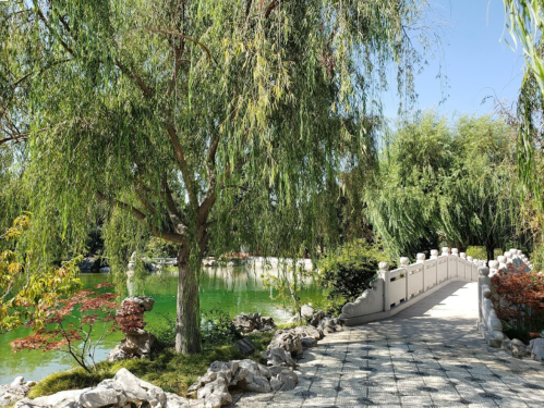 A serene garden scene featuring a stone bridge, lush greenery, and a tranquil pond under a clear blue sky.