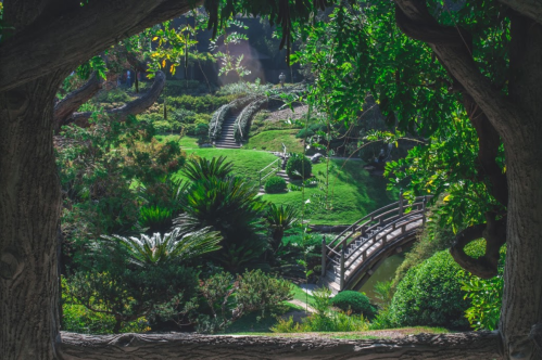A serene garden scene framed by tree branches, featuring lush greenery and winding paths with a wooden bridge.
