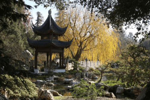 A serene garden scene featuring a traditional pagoda, willow tree, and tranquil pond surrounded by lush greenery.