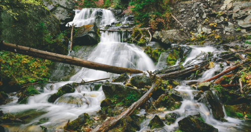 A serene waterfall cascades over rocks, surrounded by lush greenery and fallen logs in a tranquil forest setting.
