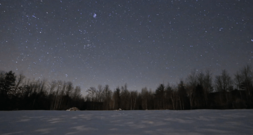 A clear night sky filled with stars over a snowy landscape and silhouetted trees.