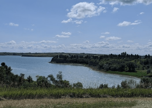A serene lakeside view with green grass, trees, and fluffy clouds under a blue sky.