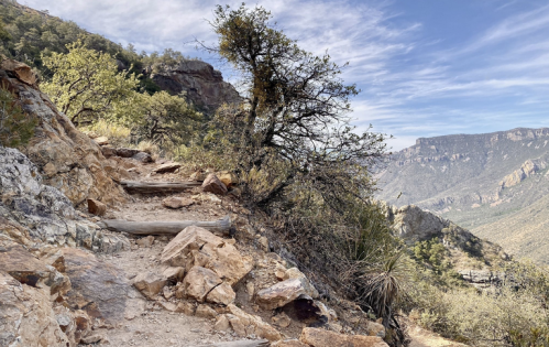A rocky trail winds through a mountainous landscape, surrounded by shrubs and trees under a blue sky.