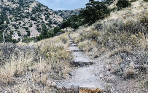 A winding dirt path through grassy hills and rocky terrain, surrounded by sparse vegetation and distant mountains.