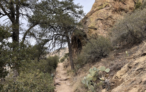 A narrow trail winds through rocky terrain, flanked by shrubs and a cactus under a cloudy sky.