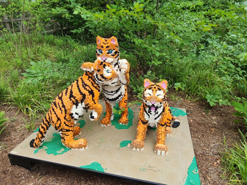 Three playful tiger sculptures made of colorful LEGO bricks, surrounded by greenery.