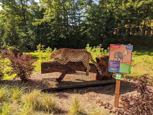 A wooden leopard sculpture rests on a log, with a colorful informational sign nearby in a lush green setting.