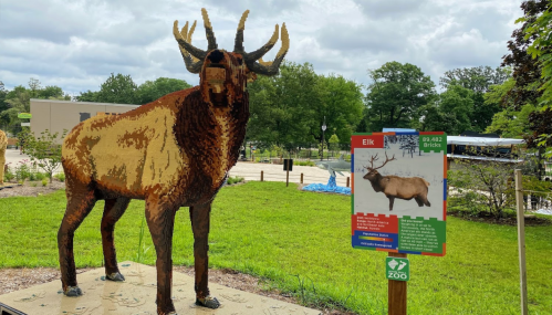 A large elk sculpture made of bricks stands beside an informational sign at a zoo. Green grass and trees are in the background.
