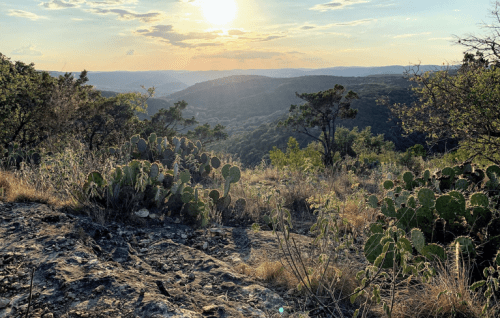 A sunset over rolling hills, with cacti in the foreground and a vibrant sky filled with clouds.
