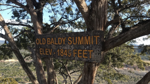 Sign reading "Old Baldy Summit" with elevation of 1845 feet, surrounded by trees and a scenic landscape.