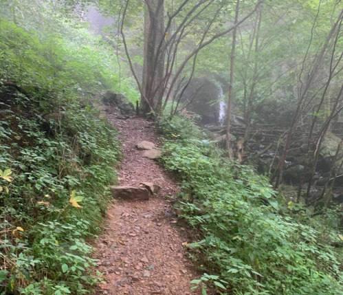A narrow, winding dirt path surrounded by lush greenery and misty trees, leading towards a distant waterfall.