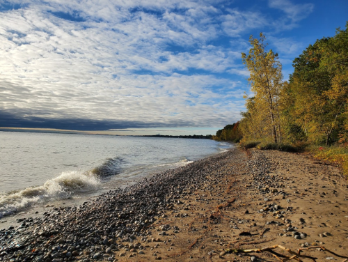 A serene beach scene with pebbles, gentle waves, and trees along the shore under a partly cloudy sky.