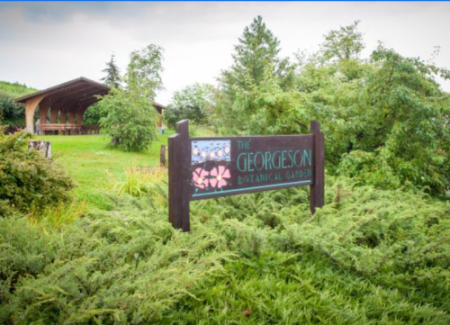 Sign for the Georgeson Botanical Garden surrounded by lush greenery and a wooden structure in the background.