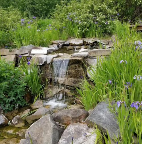 A serene waterfall cascades over rocks, surrounded by lush greenery and blooming purple flowers.