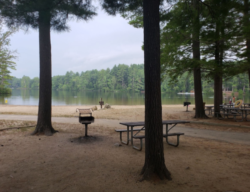 A serene lakeside view with picnic tables, a grill, and tall trees framing the calm water and distant shoreline.