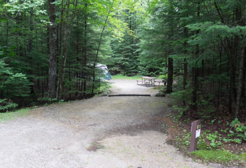 A gravel campsite surrounded by lush green trees, featuring a picnic table and a tent in the background.