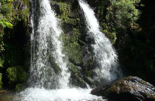A serene waterfall cascading over moss-covered rocks, surrounded by lush greenery.