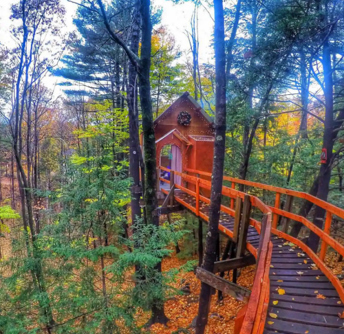 A wooden treehouse nestled among trees, connected by a walkway, surrounded by autumn foliage.