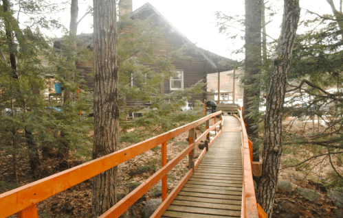 A wooden walkway leads to a rustic cabin surrounded by tall trees.