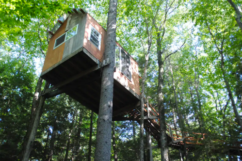 A treehouse elevated among green trees, featuring a wooden structure and a connecting walkway.