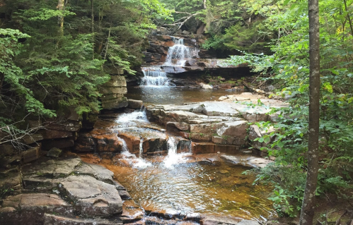 A serene stream flows over rocky steps, surrounded by lush green trees and gentle waterfalls.