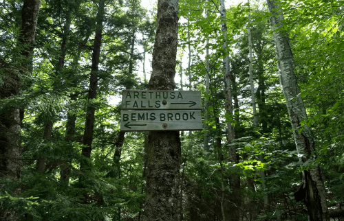 Wooden signpost in a forest directing to Arethusa Falls and Bemis Brook, surrounded by lush greenery.