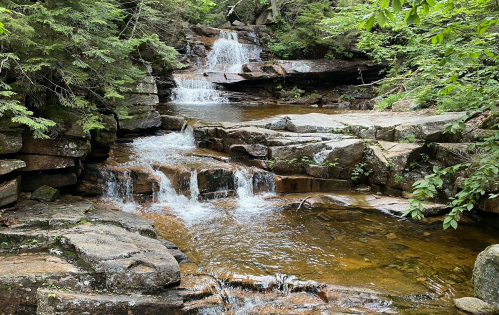 A serene stream flows over rocky terrain, surrounded by lush greenery and small waterfalls.