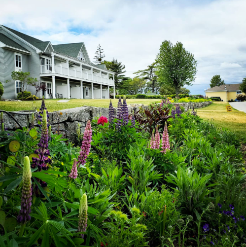 A vibrant garden with colorful flowers in front of a large gray house under a cloudy sky.