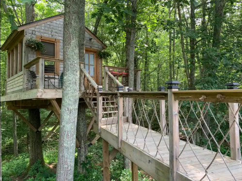 A cozy treehouse nestled among trees, connected by a wooden walkway with railings.