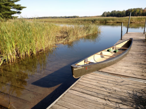 A calm water scene featuring a canoe on a wooden dock surrounded by tall grass and trees.