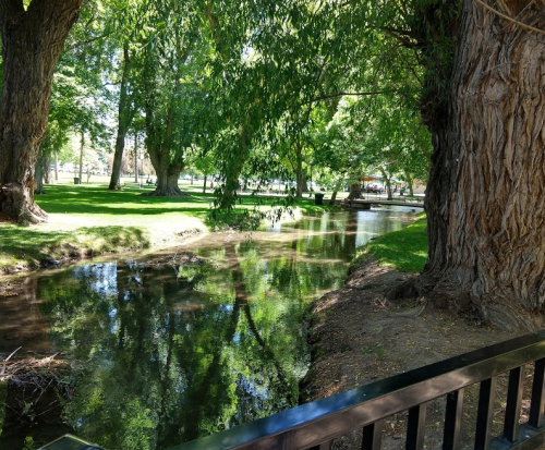 A serene park scene featuring a calm stream surrounded by lush green trees and grass.