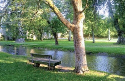 A serene park scene featuring a wooden bench by a calm stream, surrounded by lush green trees and grass.