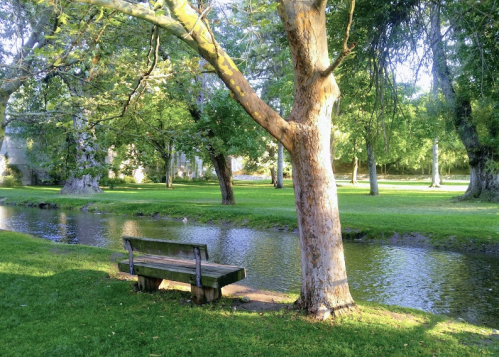 A serene park scene featuring a wooden bench by a calm stream, surrounded by lush green trees and grass.
