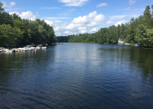 A serene lake surrounded by trees, with boats docked along the shore under a partly cloudy sky.