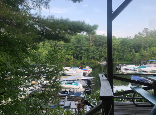 A peaceful lakeside view with boats docked, surrounded by lush greenery and trees.