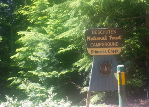 Sign for Deschutes National Forest Campground at Princess Creek, surrounded by lush green trees.