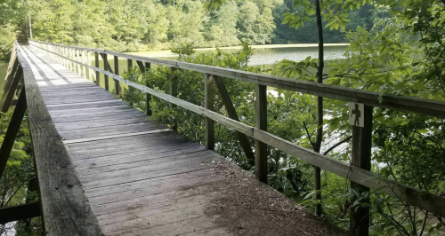 A wooden bridge leads over a calm lake, surrounded by lush greenery and trees.