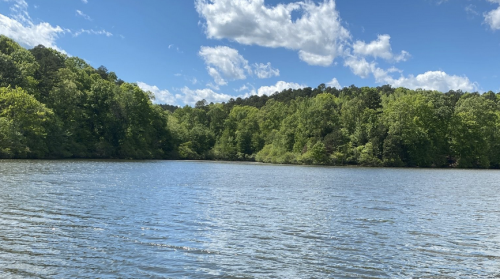 A serene lake surrounded by lush green trees under a bright blue sky with fluffy white clouds.