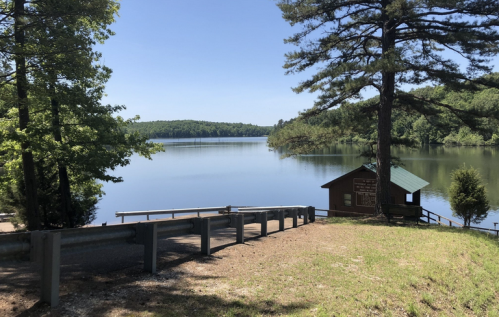 A serene lake view surrounded by trees, with a small building and a clear blue sky in the background.