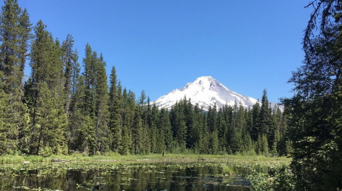 A serene landscape featuring a snow-capped mountain surrounded by lush green trees and a calm lake.