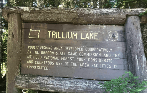 Sign for Trillium Lake, highlighting public fishing area and cooperation between Oregon State Game Commission and Mt. Hood National Forest.