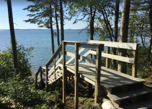 A wooden staircase leads down to a serene lake, surrounded by trees and clear blue skies.