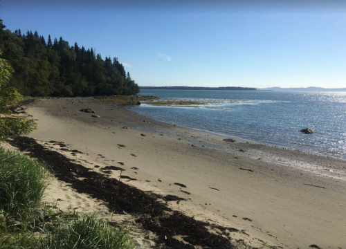 A serene beach scene with sandy shore, gentle waves, and lush trees under a clear blue sky.
