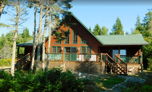 A rustic wooden cabin surrounded by trees, featuring a green roof and a spacious deck.